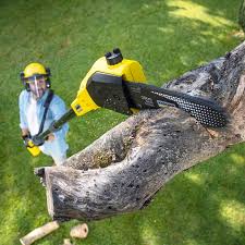 Landscape Design and Installation in Union Gap, WA