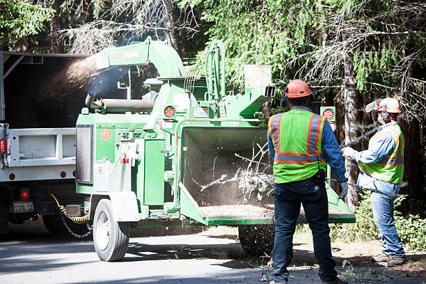Best Fruit Tree Pruning  in Union Gap, WA