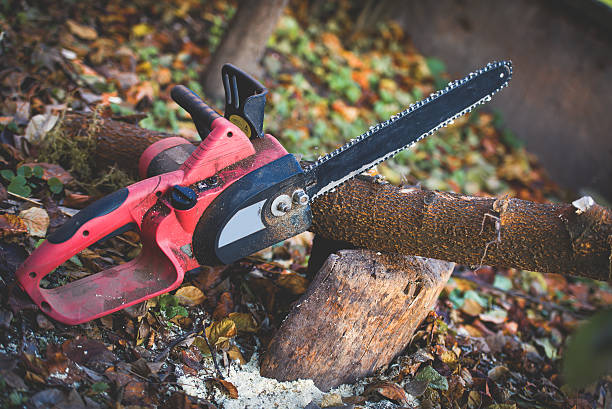 Best Pest Control for Lawns  in Union Gap, WA